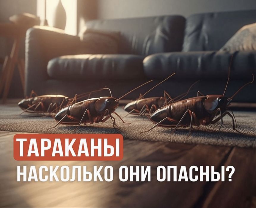 Дезенфекция дизенфек дезинфекция дизинфекция dezinfeksiya klapa klopa