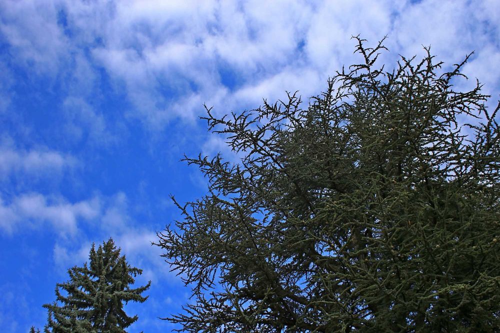 Canon 6D+ obiectiv 28-80