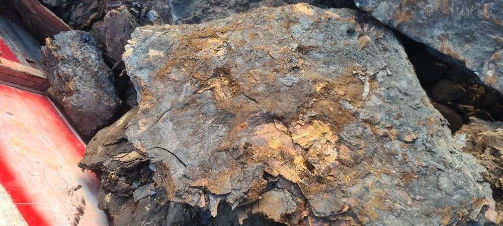 Deseuri fag .lemn foc .cărbune lignit