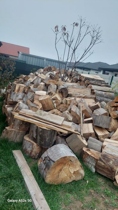 Lemne de fag uscate taiate