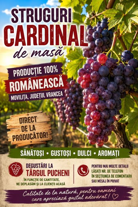 Direct de la producător-STRUGURI