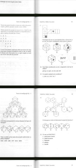 Teste grile psihologic pentru MAI/SRI/MApN/IGSU/ANP