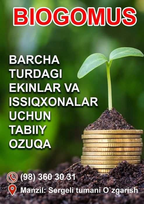 Bio gomus тозаси