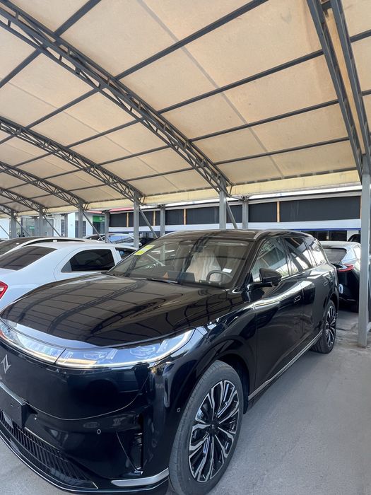 Dongfeng 008 max 2026