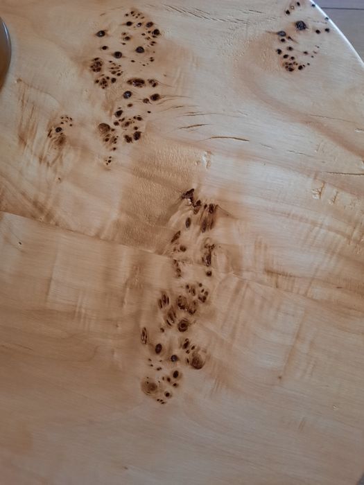 Vând plop bubos foarte frumos