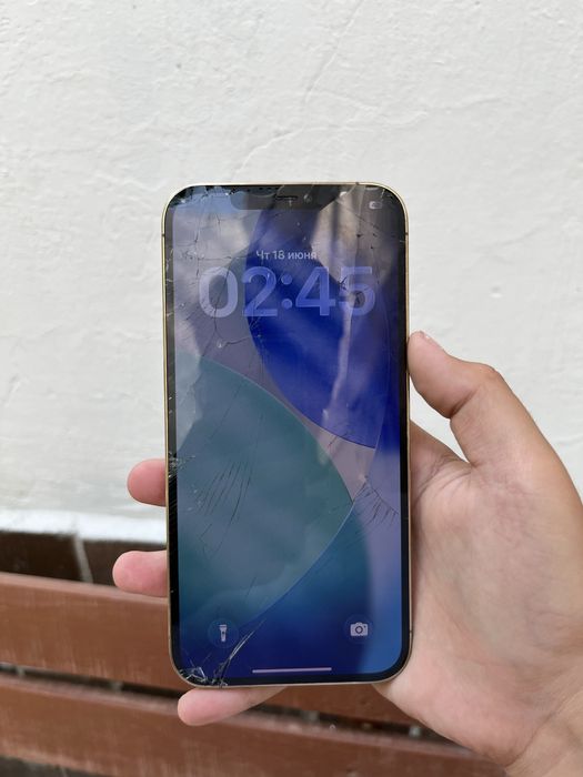 Айфон 12 Про Макс / iPhone 12 Pro Max