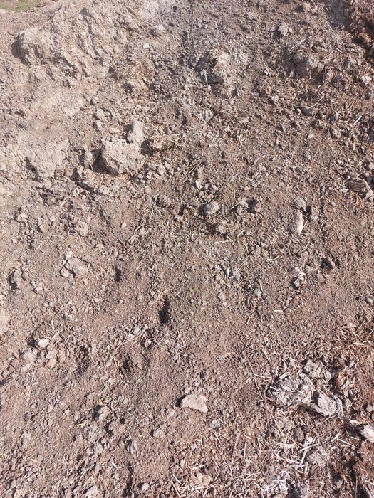 Mranita,pamint vegetal,negru și pamint nisipos