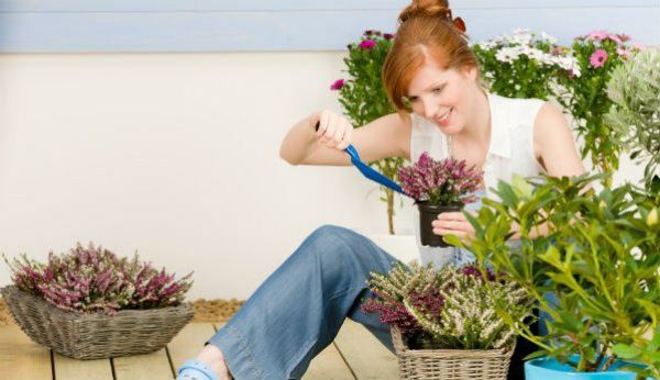 Уход за комнатные растения и офисным