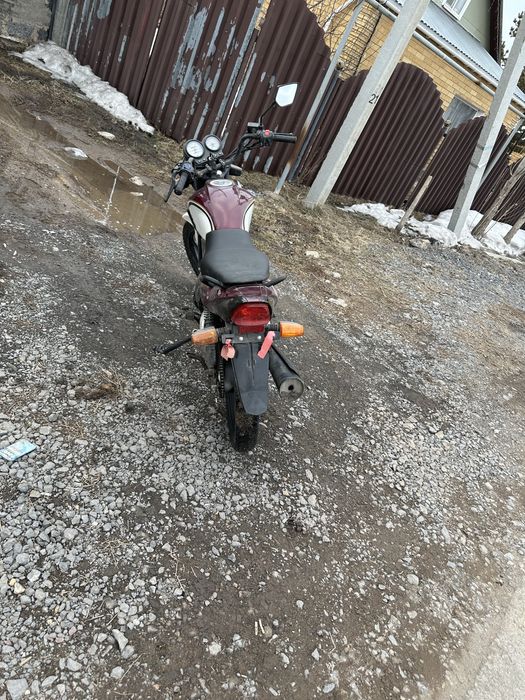 Пролам реисен тигр