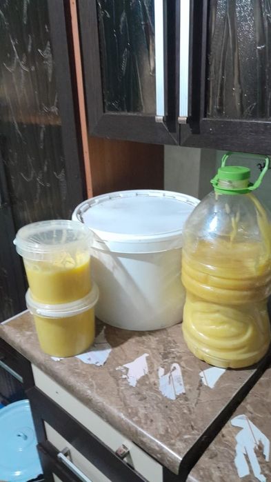 Шығыстын таза баллы