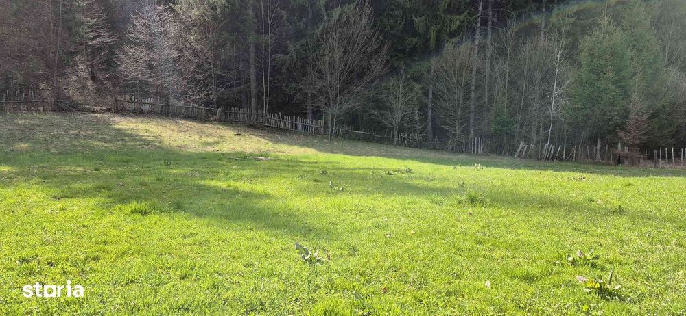 Teren intravilan de vânzare, 4096 mp, acces asfaltat