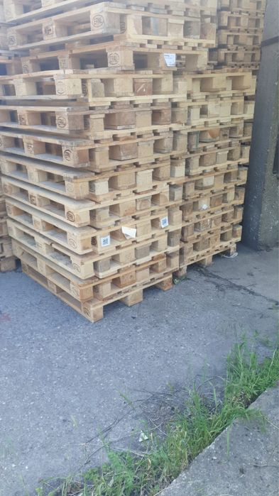 Vand euro si non euro Paleti