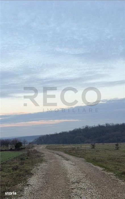 RECO Teren intravilan langa padure Pausa