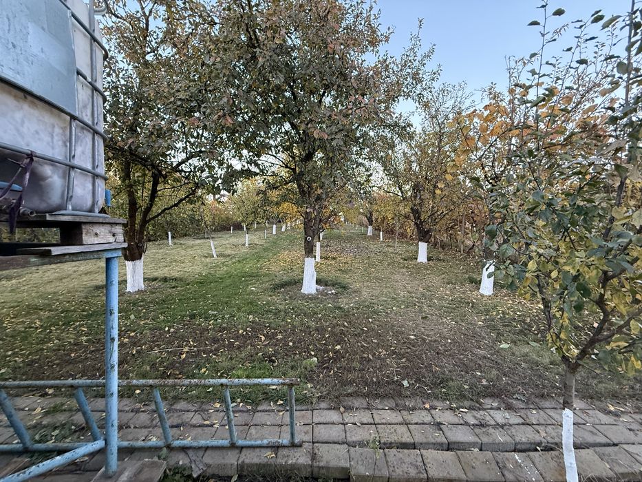Casa de vanzare in plopeni - 35 ari