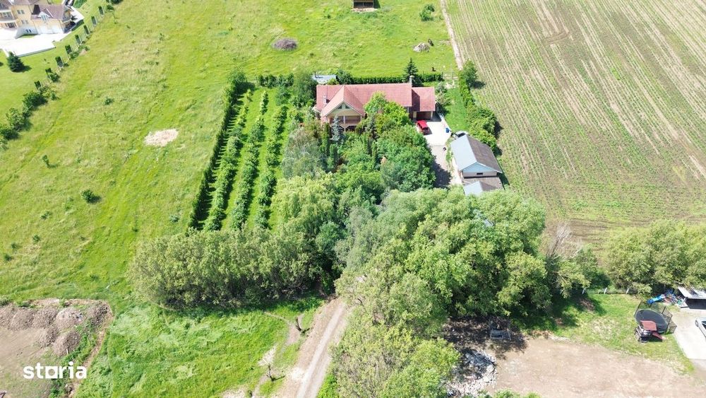 Proprietate Premium Cu 4.534 Mp Teren- Reghin Strada Pometului