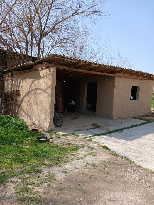 Дом сарыагаш дом