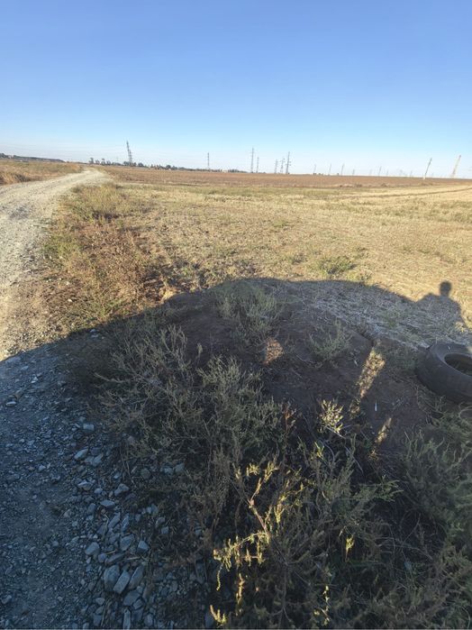 Teren Sere Constanta / rate