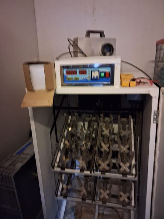 Strut+incubator+eclozor