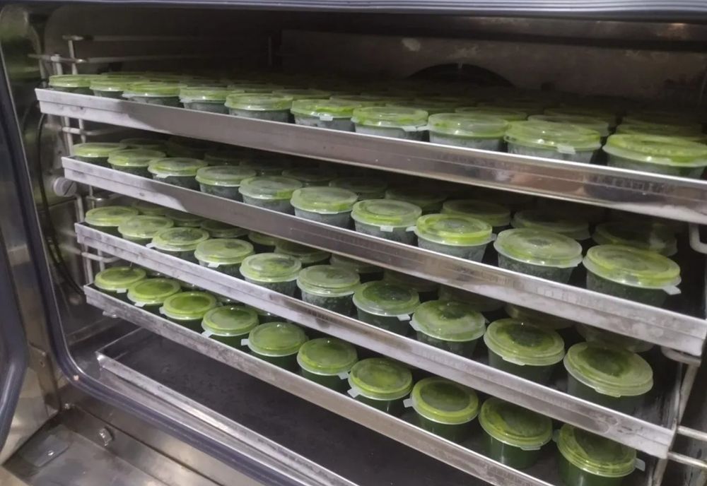 Витграсс. Всегда в наличии