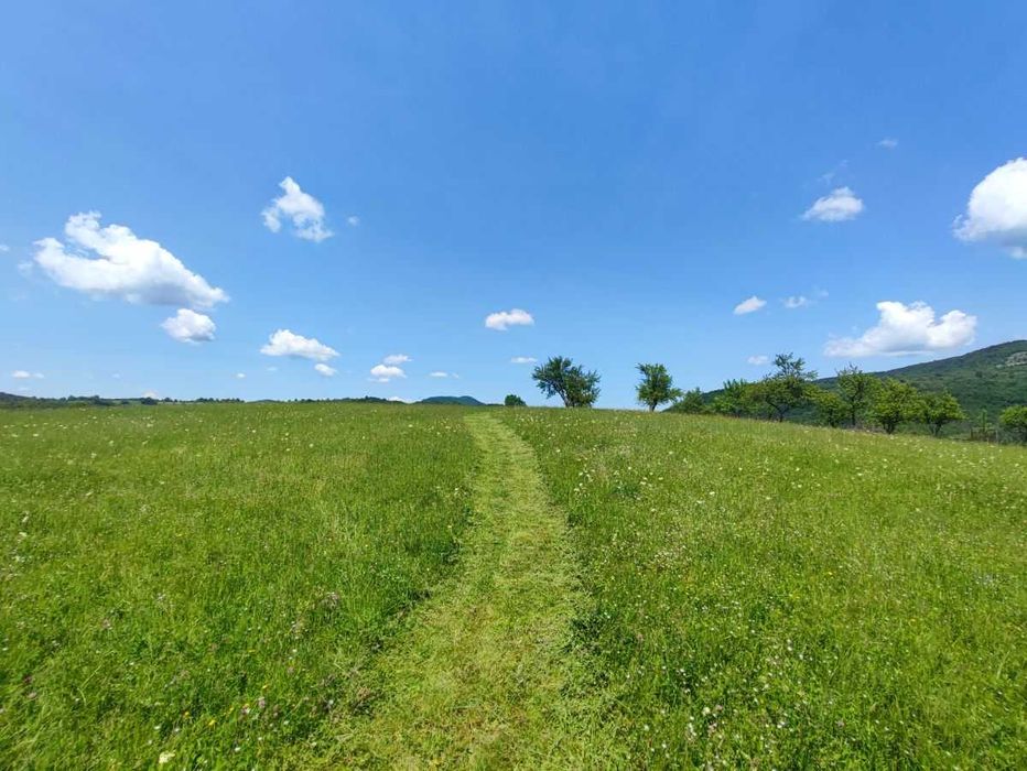 Продава се Парцел в Велико Търново, Център - 7000 кв.м за 10 €/кв.м - Снимка #4