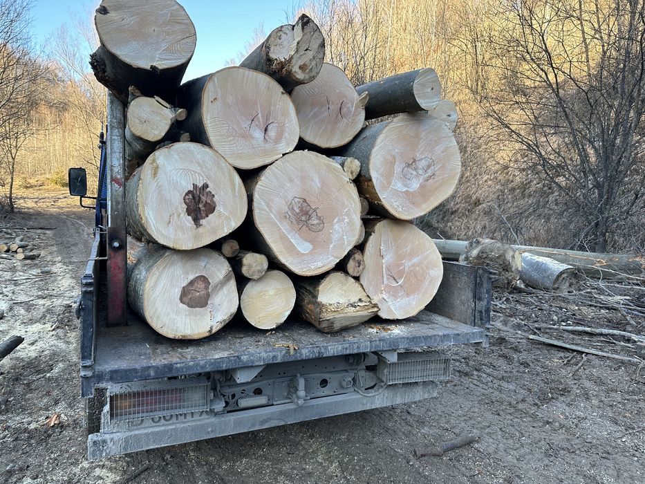 Matrial lemnos Pentru  centrale