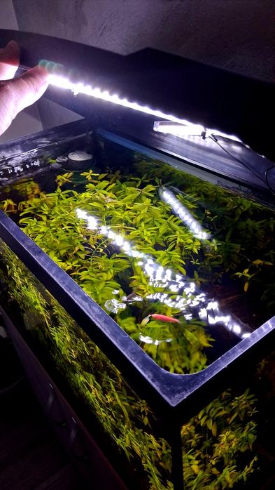 Acvariu Complet 60L