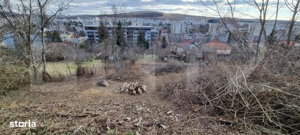 Teren intravilan, 3500 mp, zona Platoul Cornesti