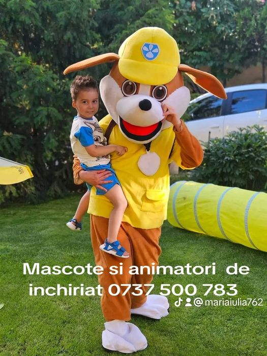 Minnie si Micky petreceri copii