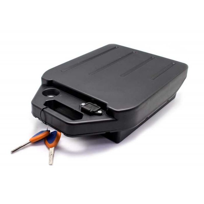 MOTOR 10 INCH 2000W janta aliaj Harley citycoco smartbalance