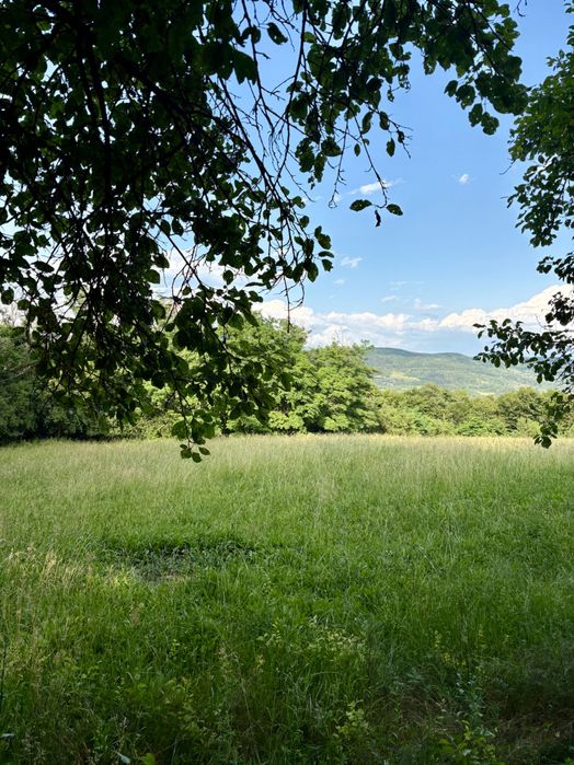 Vând teren intravilan în zona Valea Brazilor
