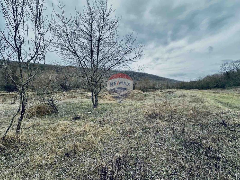 Продава се Парцел в с. Църква, Област Добрич - 25000 кв.м за 3 €/кв.м - Снимка #1