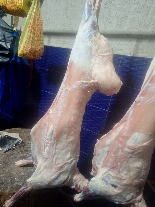 Ет сатамыз Қой еті