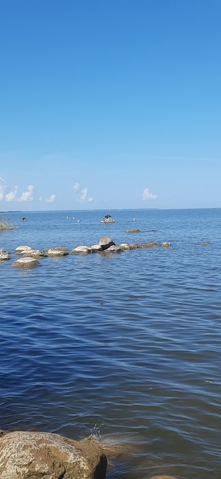 Бизнес килишга жой бор