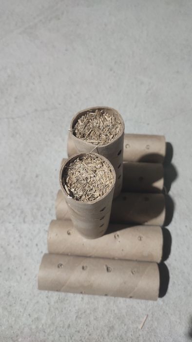 Средства для избавление от термитов