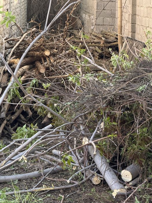 Бесплатные дрова