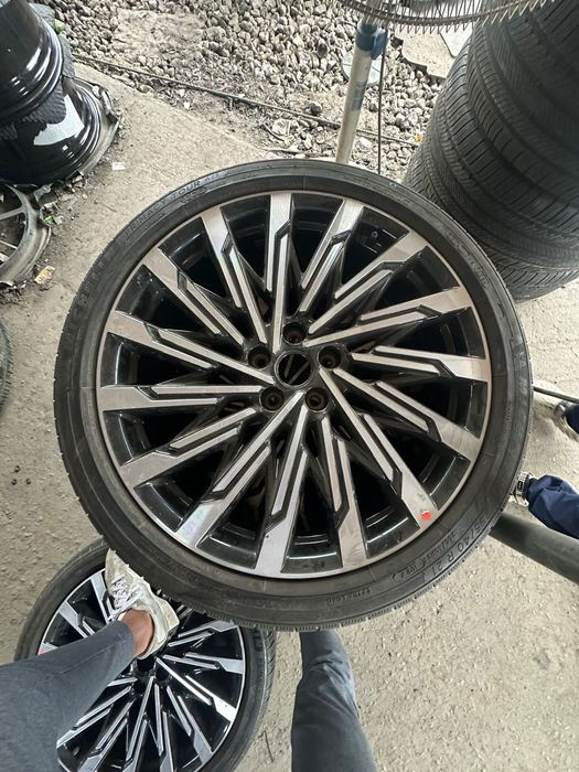 Диски Колиграфи