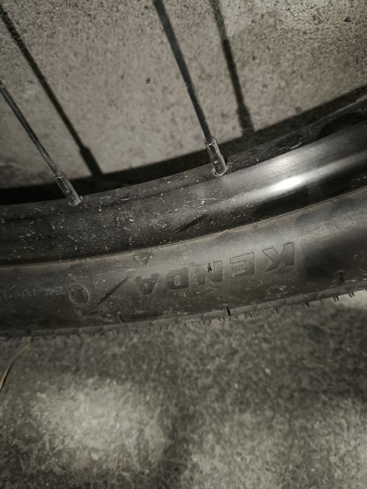 Cannondale catalyst