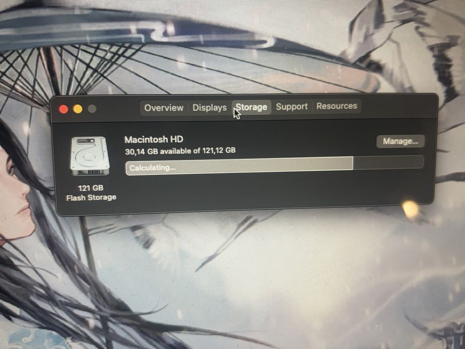 Macbook Air 13 121GB (2017)