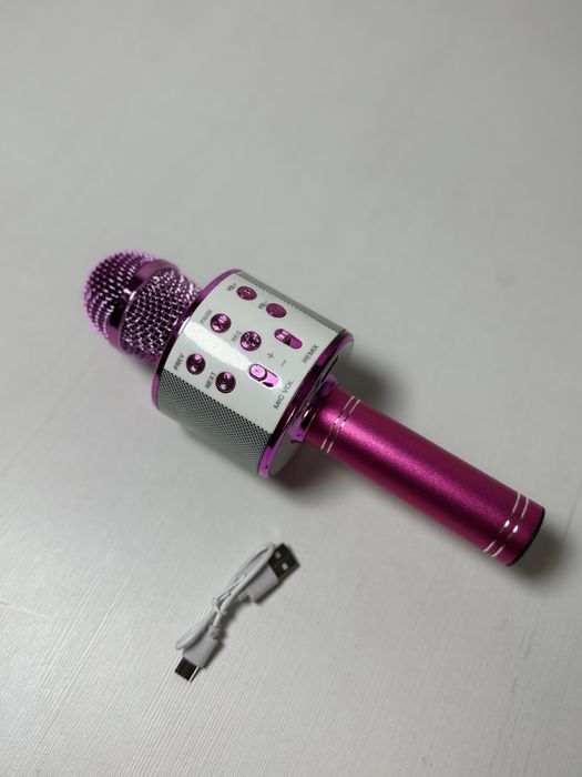 Microfon Wireless Karaoke 20cm Bibica Edition – Cu Bluetooth, Radio FM, Difuzor Încorporat și Slot Card
