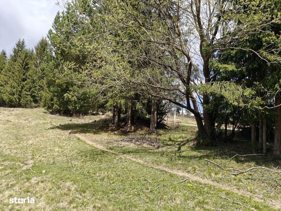 Teren intravilan, 1500 mp, Dealu Botii, com Belis, Comision 0