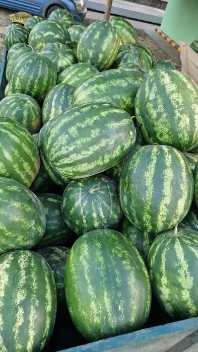 Pepeni verzi gustosi!