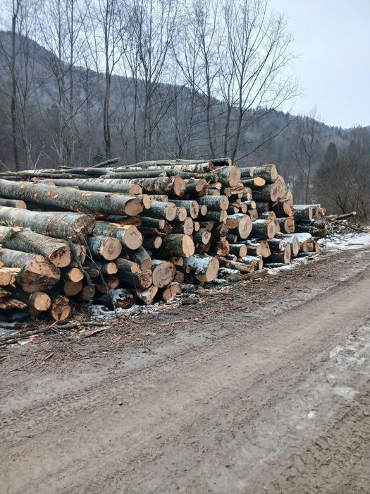 Lemn de foc Fag  Buștean sau Crăpat