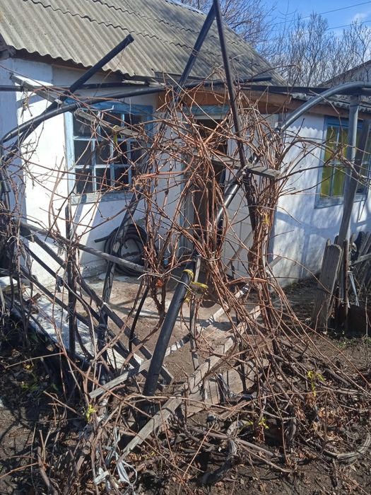 Продам дачу со "Геолог"