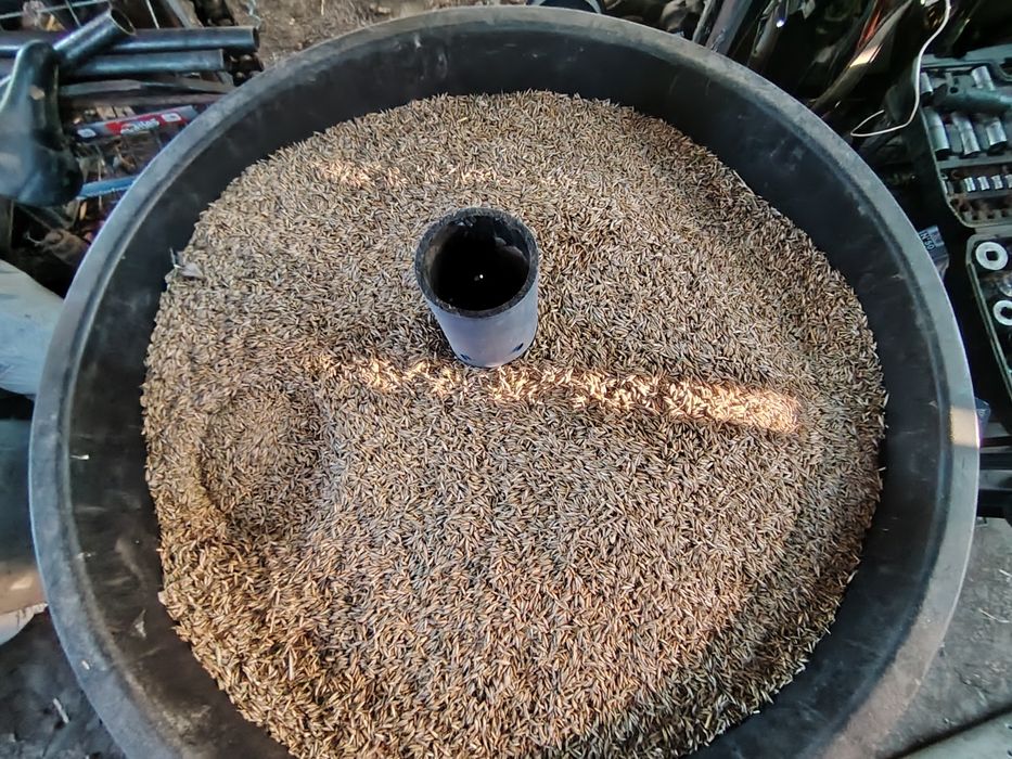 Vand ovăz calitate f bună