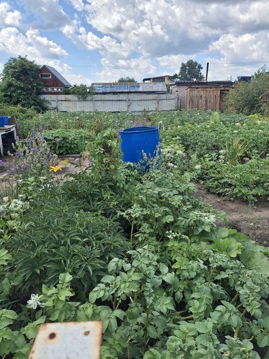 Продам дачу 3,8 соток