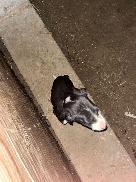 Гарантия есть все