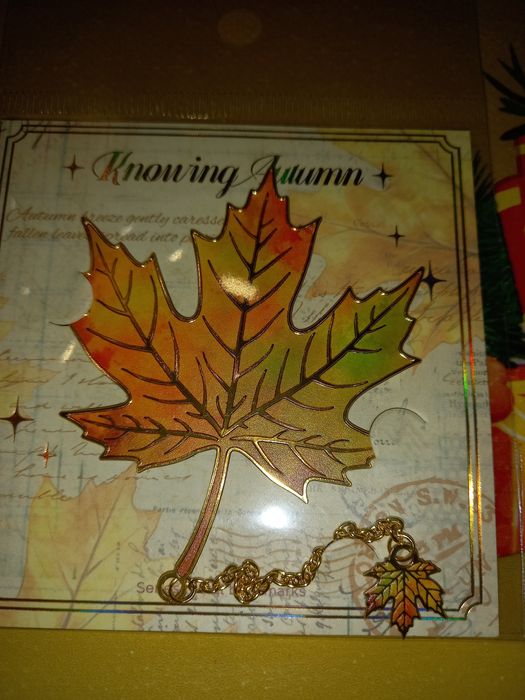 Страхотни метални разделители за книги