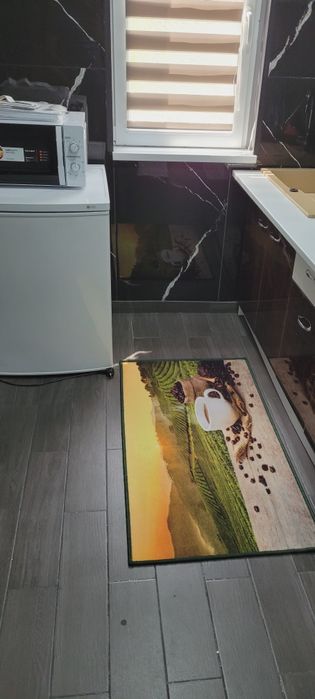 Apartament 2 camere Baile Herculane