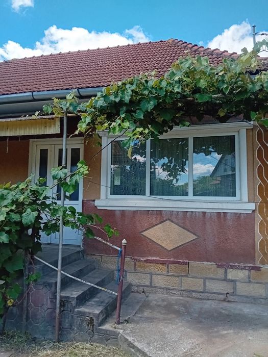 Vând casă la țară