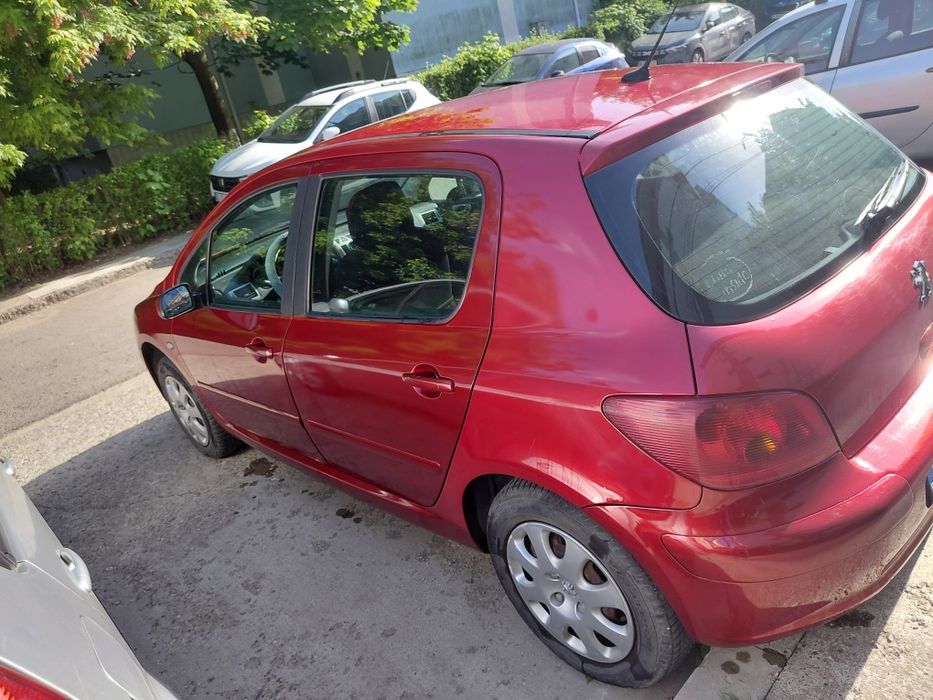 Vand Peugeot 307